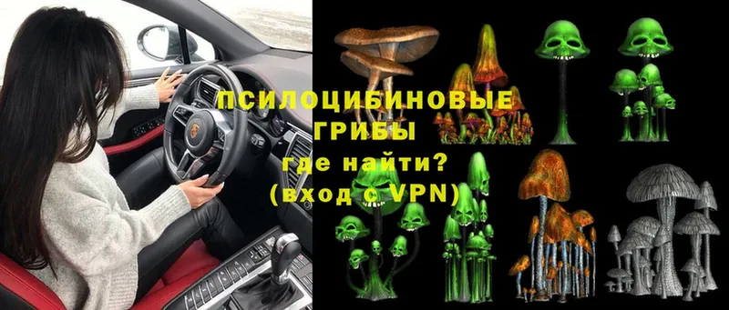 Галлюциногенные грибы Magic Shrooms Нижняя Тура